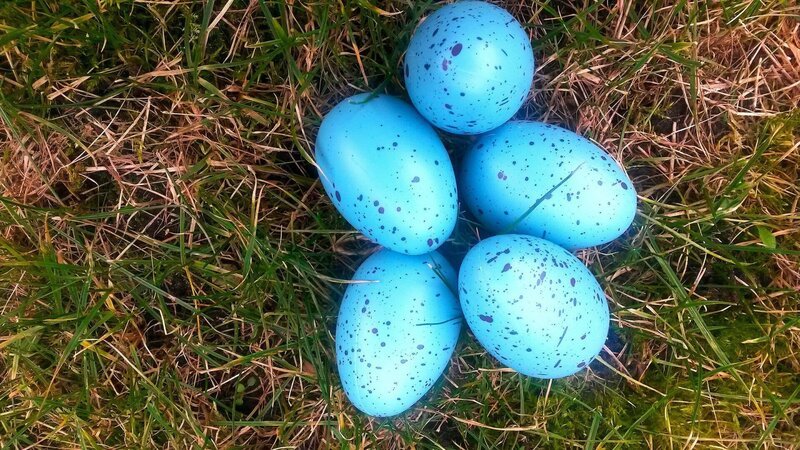 Waren die Ostereier früher wirklich bunter? Und der Frühjahrsputz gründlicher? Das Osterwetter sonniger und die Frühlingsgefühle euphorischer? Wie war die Zeit zwischen Ostern und Pfingsten in den vergangenen Jahrzehnten in Berlin wirklich? Der Film blickt zurück und zeigt viele fast vergessene Aufnahmen aus der Stadt an der Spree im Frühlingsrausch. – Bild: ZDF und rbb