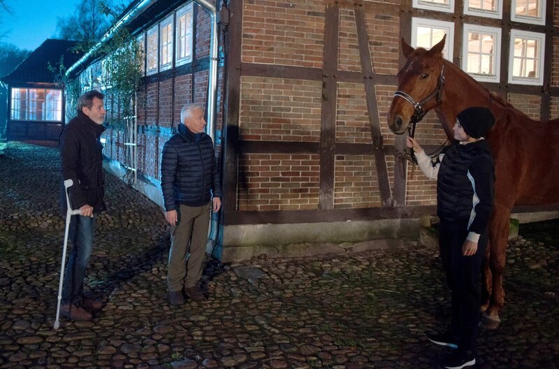 Mit dem Pferd an der Hand, reagiert Ellen (Yun Huang, r.) überraschend versöhnlich auf Gunter (Hermann Toelcke, l.). Das bringt Thomas (Gerry Hungbauer, 2.v.l.) auf eine Idee. – Bild: ARD/​Nicole Manthey