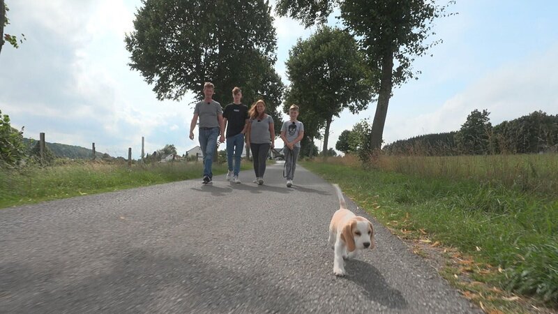 Welpe Summer geht mit seiner Familie spazieren – ohne Leine und Halsband. – Bild: RTL /​ RTL Studios