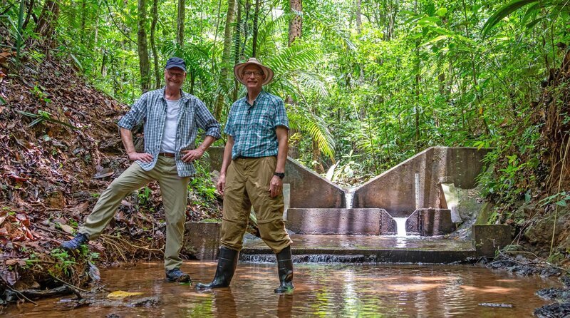 Wie können Wälder der Zukunft aussehen? Das bespricht Sven Plöger mit dem Tropenwaldökologen Jefferson Hall vom Smithsonian Tropical Research Institute – Bild: SWR/​Maike Simon