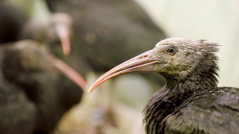 Bild: MedienKontor/​Angelika Vogel