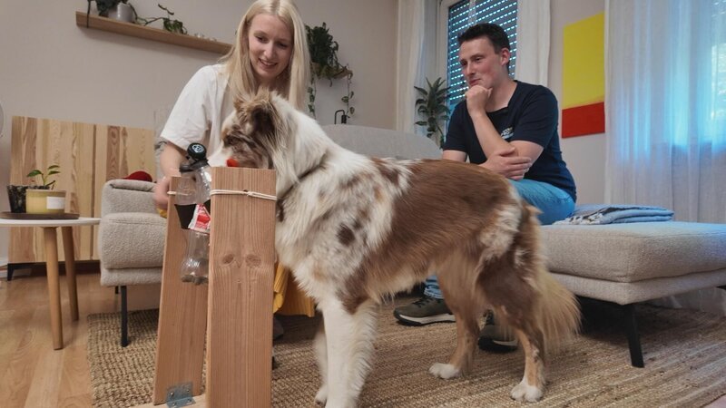 Natascha mit Australian Shepherd-Hündin „Hope“ und Trainer Marcel Wunderlich. – Bild: RTL /​ Mina TV /​ Hütehunde im Dauerstress