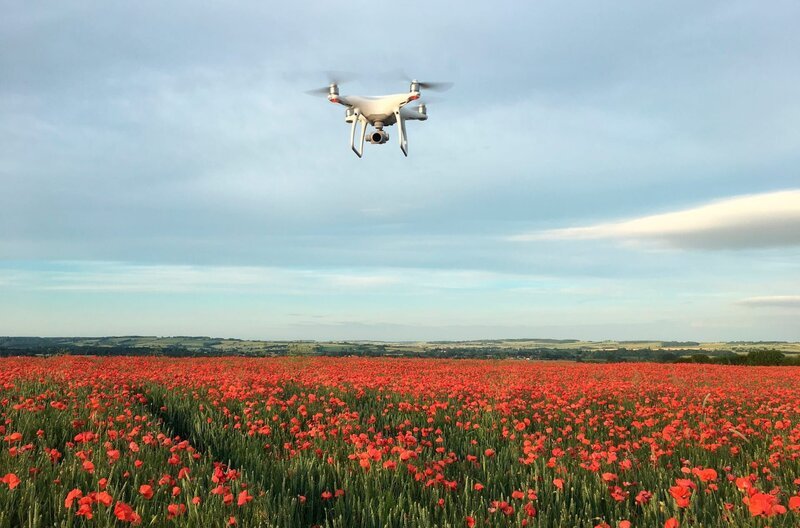 Eine Klatschmohnlandschaft in den Cotswolds. – Bild: NDR/​a&o buero /​ ZDF und NDR/​a&o buero