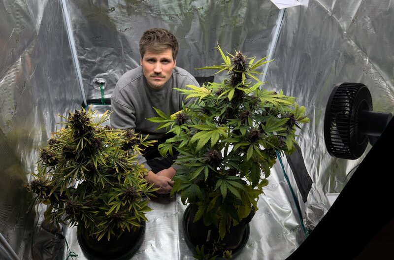 Die Cannabis-Bilanz: Wie viel kiffst du, Deutschland? – Bild: SWR /​ SWR Presse/​Bildkommunikation