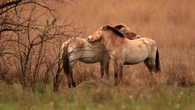 Bild: @Red Bull Media House/​ServusTV