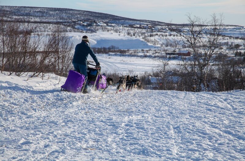 Marit Beate Kasin in ihrem Element als „Musherin“ – so nennt man eine Hundeschlittenführerin in der Fachsprache. – Bild: MedienKontor