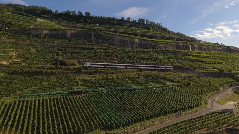 Lavaux – Bild: ZDF und SRF/​Mediafisch