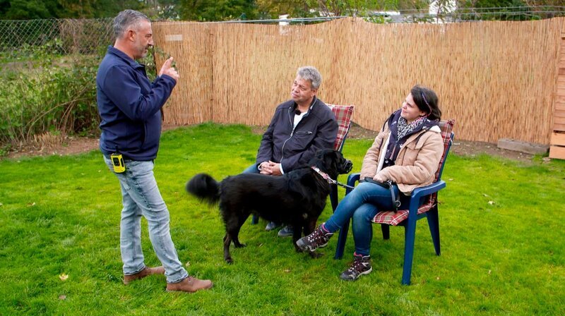 Hundecoach Andreas Ohligschläger (l) beim Training mit Halter Mike sowie Katrin (r) und ihrer Schäferhund-Mix-Hündin Stella – Bild: WDR/​Fernsehkraft UG