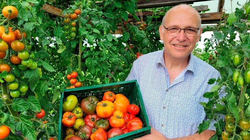 Seit mehr als 30 Jahren sammelt Hans-Jürgen Sickler alte Tomatensorten – Bild: NDR/​SR/​Ute Werner