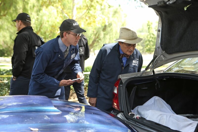 Suchen am Tatort nach Hinweisen: Ducky (David McCallum, r.) und Jimmy (Brian Dietzen, l.) … – Bild: CBS Television /​ Monty Brinton Lizenzbild frei