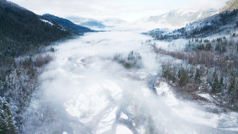 Panoramablick auf Wald und Berge in Alaska. – Bild: ORF/​BBC