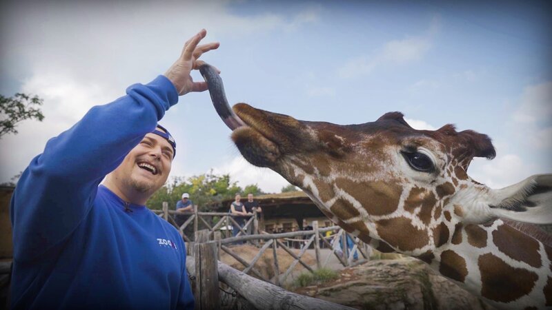 Mission: EAZ Rapper EAZ stellt sich seiner Tierphobie Staffel 1 Folge 3 Hautnah: Rapper EAZ schliesst Freundschaft mit einer Giraffe. – Bild: SRF