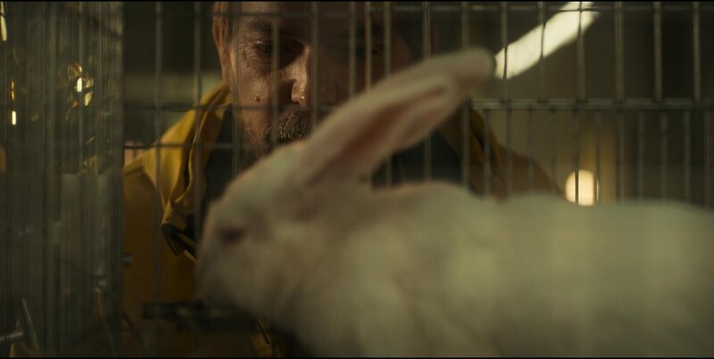 Horst (Godehard Giese) – Bild: MEDIAPRO CANARIAS, S.L.U.
