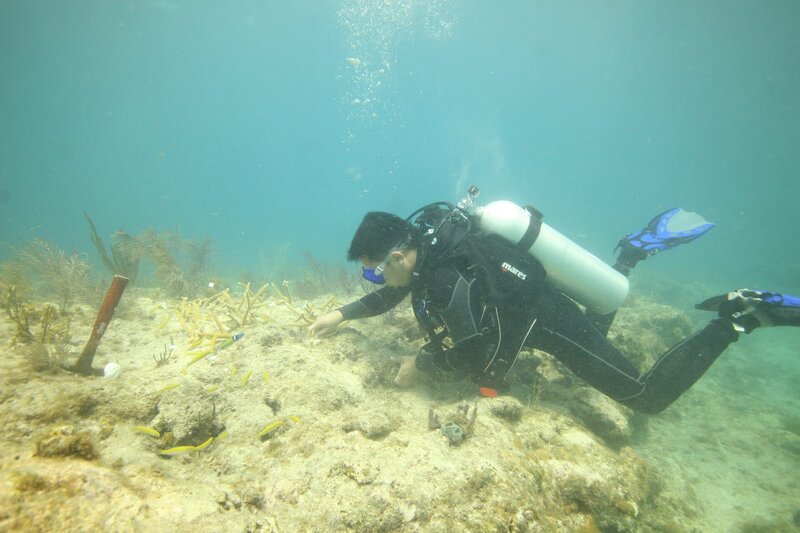 Francis sieht sich den Meeresboden genau an. – Bild: The National Geographic Channel