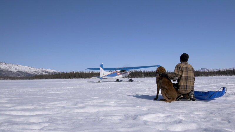 Johnny Rolfe beobachtet, wie ein Buschflugzeug Karibufleisch, das er erlegt hat, in das örtliche Dorf bringt. (National Geographic für Disney) – Bild: Disney