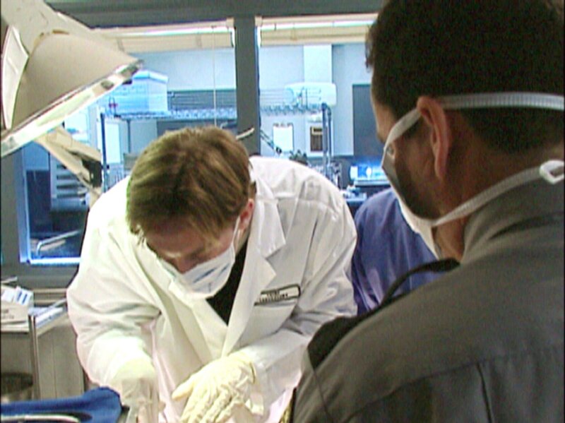 Jede Minute zählt – Die Leiche der 10-jährigen Cassidy wird von Gerichtsmedizinern auf die genaue Todesursache hin untersucht – Bild: RTL II