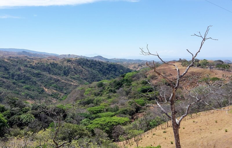 Die Landschaft in Costa Rica in der Nähe von Puntarenas. – Bild: Bewegte Zeiten Filmproduktion GmbH/​BR/​Sibylle Nies