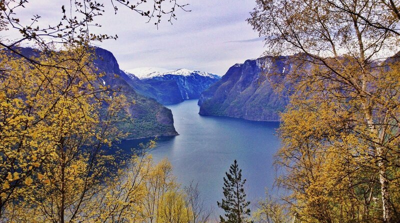 Norwegens Fjorde – bis zu 200 Kilometer ziehen sie sich von der Atlantikküste bis ins Binnenland hinein. Weitere Fotos auf Anfrage. – Bild: BR, NDR, nautilusfilm