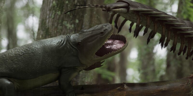 Kampf der Giganten: Der um die zwei Meter große Tausendfüßler Arthopleura greift einen Labyrinthzähner an. – Bild: ZDF