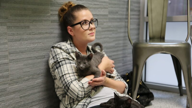 An interested adopter holding a kitten. – Bild: Animal Planet /​ Discovery Communications