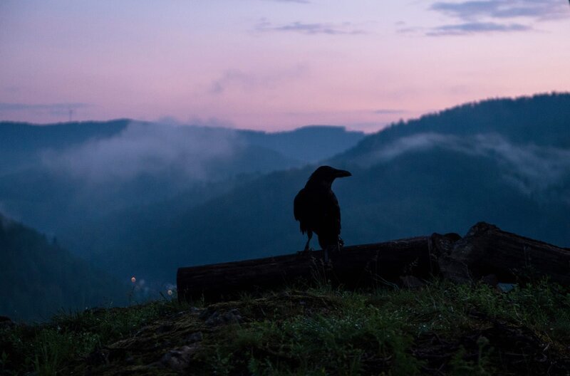 „Die Verteidigerin: Der Gesang des Raben“, spielt im Hochschwarzwald. – Bild: SWR/Maria Wiesler / SWR Presse/Bildkommunikation „Die Verteidigerin: Der Gesang des Raben“, spielt im Hochschwarzwald. – Bild: SWR/Maria Wiesler / SWR Presse/Bildkommunikation