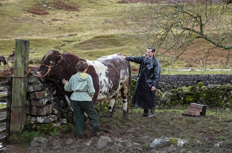 Helen Alderson (Rachel Shenton) und James Herriot (Nicholas Ralph, r). – Bild: WDR/​Playground Television UK Ltd & all3media international