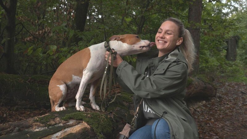 Bei Isy Palchyk und ihrer Familie breitet sich Nervosität aus. Ihre Staffordshire-Terrier-Dame Irma muss zum Wesenstest. Die Verwendung des sendungsbezogenen Materials ist nur mit dem Hinweis und Verlinkung auf RTL+ gestattet. – Bild: RTL /​ RTL Studios