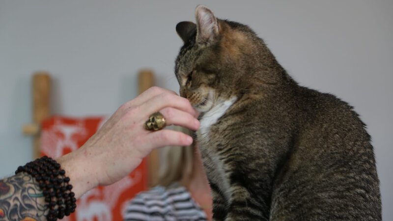 Zachary sniffing Jackson’s hand. – Bild: Discovery Communications