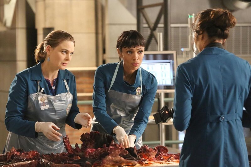 (v.l.n.r.) Temperance Brennan (Emily Deschanel); Camille Saroyan (Tamara Taylor); Angela Montenegro (Michaela Conlin) – Bild: ATV