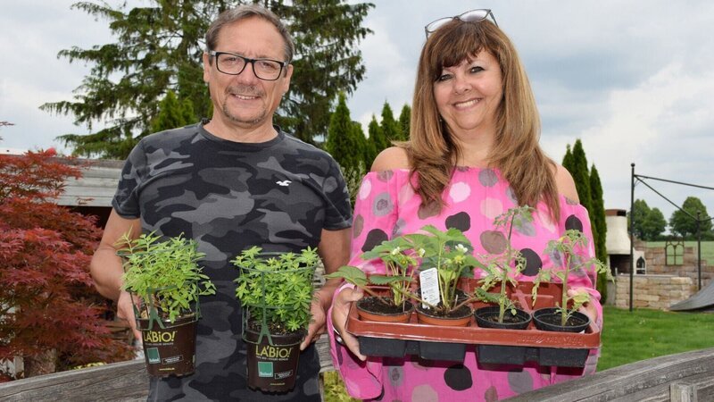 In Ingo und Marions Chill-Area geht es in die zweite Runde. Die Sitzbank bauen sie selbst, einen Plan gibt es dafür nicht. – Bild: RTL /​ Tokee Bros.