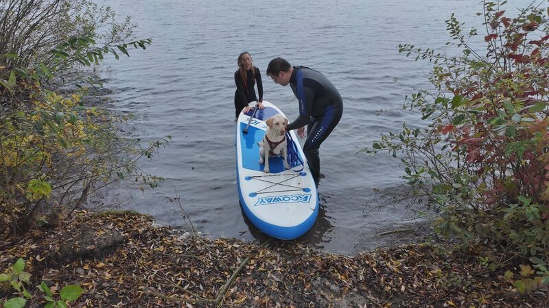 v.l.: Trainerin Ellen Marques, Labradorhündin „Luna“ und Nils – Bild: RTL /​ Mina TV