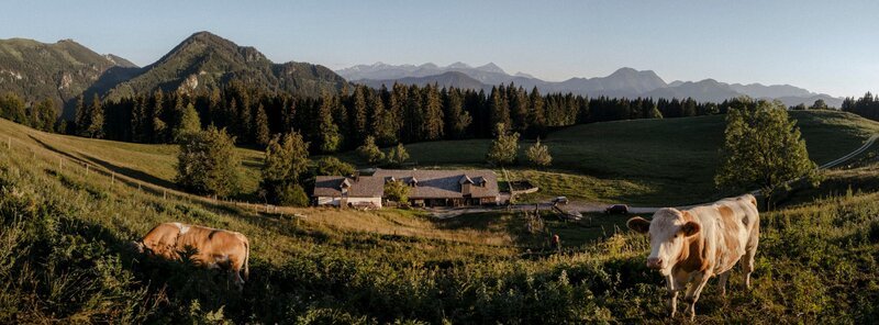 Das dritte Jahr haben Christoph Loidl, Franziska und Anita Maurer die Gschwendtalm in den Kalkalpen übernommen. – Bild: ServusTV /​ Richard Schabetsberger