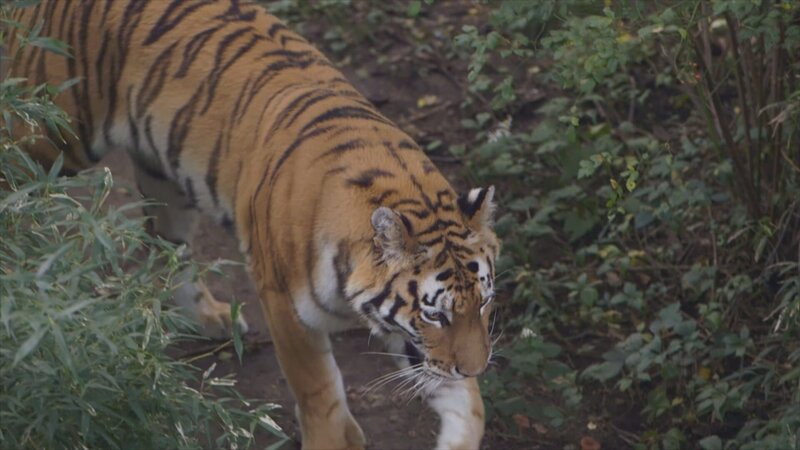 . – Bild: Warner Bros. Discovery