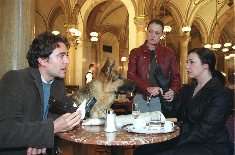Kommissar Rex „Happy Birthday“. Im Bild (v.li.): Alexander Pschill, Rex, Elke Winkens, Andrea Händler. – Bild: ORF/​Ali Schafler