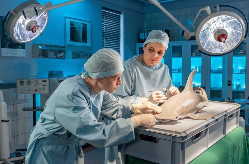 Dr. Susanne Mertens (Elisabeth Lanz, r.) fällt das besondere Talent von Sina Mayer (Antonia Breidenbach, l.) schnell ins Auge. – Bild: ARD/​Saxonia Media/​Steffen Junghans