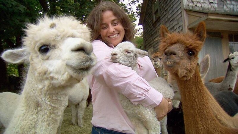 Cranberry-Farmer in Massachusetts nutzen die außergewöhnliche Beschaffenheit der Beeren. – Bild: Vidicom Foto: ARTE