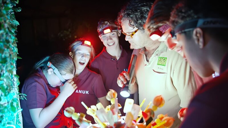 Lina, Anuk, Luca, Michael Ernst, Emilio und Samuel (v. l. n. r.) entdecken Überraschung bei Nachtwanderung im Gondwanaland des Zoos in Leipzig. – Bild: MDR/​Cine Impuls Leipzig GmbH