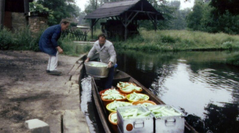 Eine unterhaltsame Reise in den Spreewald der 60er, 70er und 80er Jahre. Erinnerungen an die beliebten Kahnfahrten, an das Lübbenauer Ausflugslokal „Zum Fröhlichen Hecht“, an die Erntefeste in der Spreewaldgemeinde Burg und an die „Bimmelguste“. Eine Fahrt mit der alten Spreewaldbahn von Lübben nach Cottbus war immer ein Erlebnis. – Kahn mit Spreewaldgurken. – Bild: rbb