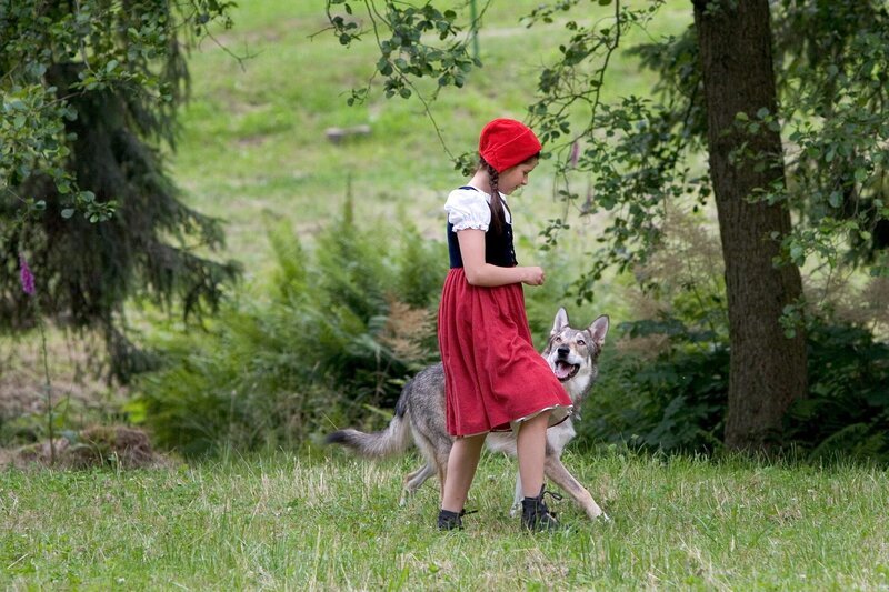 Rotkäppchen (Kathleen Frontzek) hat noch keine Angst vor dem Wolf. – Bild: ZDF und Steffen Junghans