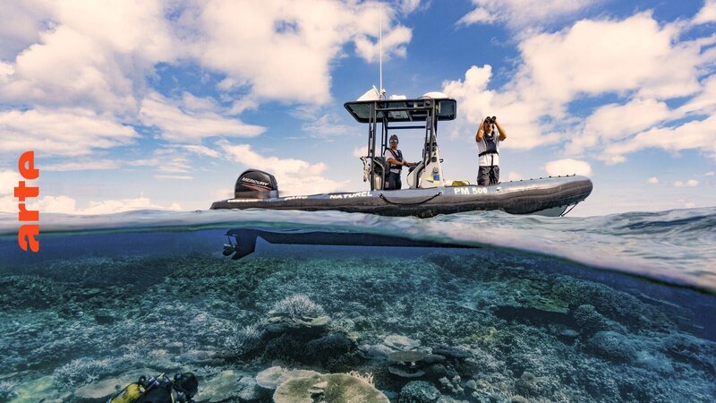 Bild: api-cdn.arte.tv