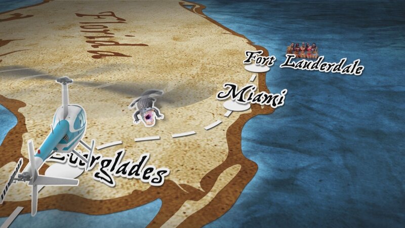 Animation Florida. – Bild: port.hu