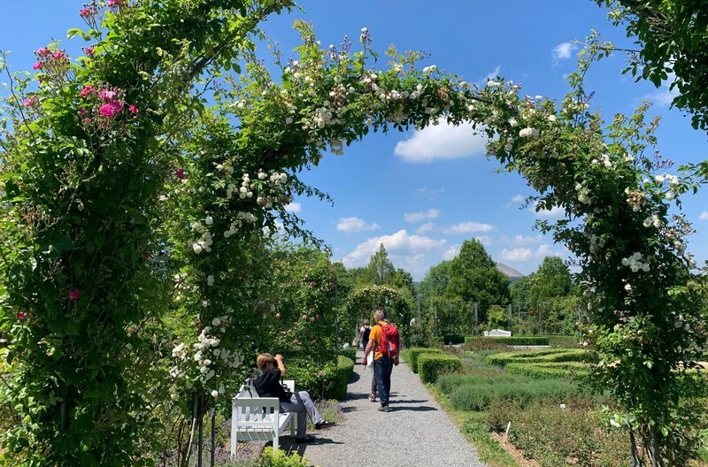 Rosenbögen im Rosarium Sangerhausen – Bild: MDR/​Schmidtfilm/​Anna Neuhaus