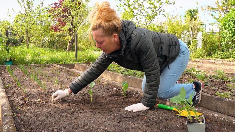 Inka kümmert sich um das Gemüse-Beet – Bild: RTLZWEI