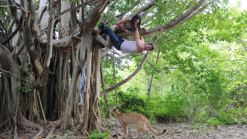 Jennifer (Taylor Cole) und Jim (Matt Passmore) haben sich auf der Flucht vor einem wilden Panther auf einen Baum gerettet und sitzen nun fest … – Bild: TVNOW