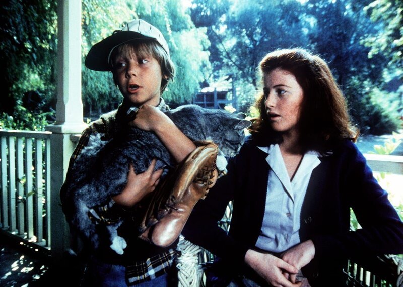 Jeffrey (Keith Mitchell, l.) bringt eine trächtige Katze mit nach Hause und möchte sie gerne behalten. Elizabeth (Kami Cotler, r.) glaubt nicht, dass ihr Vater John davon sehr begeistert sein wird. – Bild: WARNER BROS. INTERNATIONAL TELEVISION