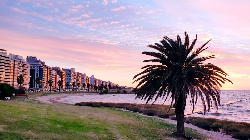 Das Leben in Montevideo wirkt wie in ganz Uruguay entspannt, und ist kaum vergleichbar mit dem Trubel anderer Metropolen. – Bild: NDR/​Maximus Film GmbH/​Sina Hutt