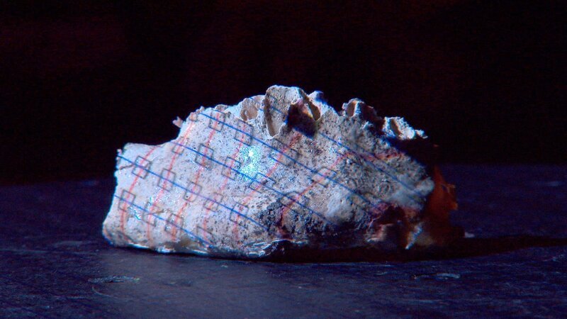 Kieferknochen des gekreuzigten letzten König des alten Israel, Antigonus. – Bild: ORF III