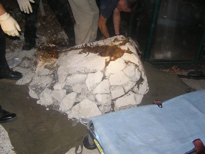 OLYMPUS DIGITAL CAMERA – Bild: Oxygen Cable LLC