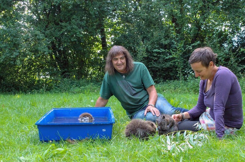 Biberschützer Peter Ibe gilt als Pionier unter den Biberschützern. Schon in den 1970er Jahren fing er die Tiere und siedelte sie um. – Bild: MedienKontor/​Bernadette Hauke
