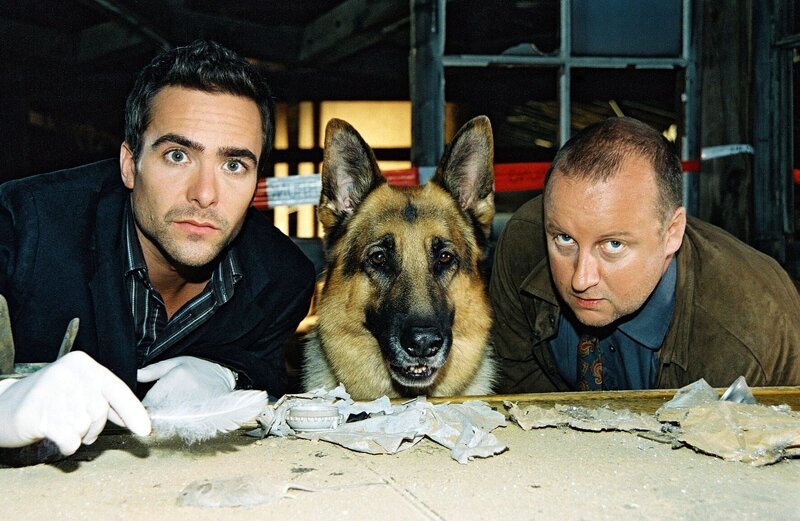 Marc (Alexander Pschill, l.), Rex und Kunz (Martin Weinek, r.) werden zu einer leer stehenden Fabrik gerufen. Dort wurde eine halbverkohlte Leiche gefunden. Der Täter hat sich offensichtlich nicht sehr bemüht, seine Spuren zu verwischen – ganz im Gegenteil … – Bild: SAT.1 /​ Ali Schafler